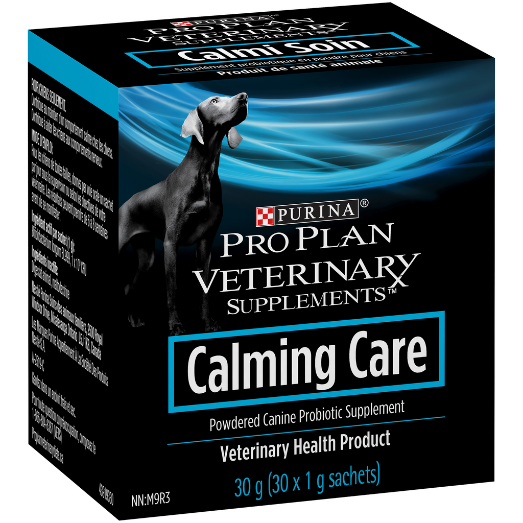 Calming 2025 probiotic dogs