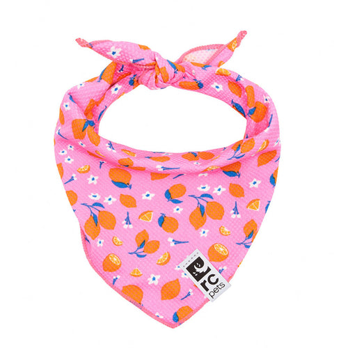Canine Zephyr Cooling Bandana- Pink Zesty