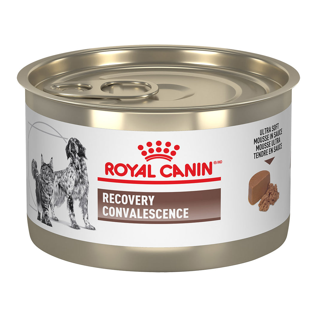 Royal Canin Feline/Canine Recovery Tins 12x195g